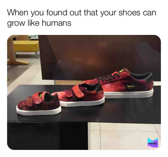 2nd meme caption: The growth of a shoe...👟🥾😂😂😂 #shoes #shoememes #growth #humanrace