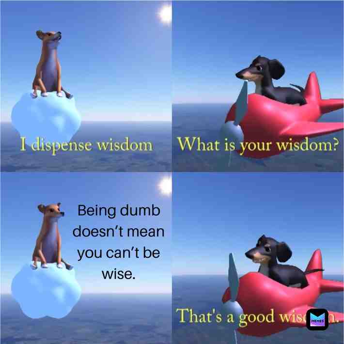 Some very wise words from a very wise dog...  #wholesomememes  #memes
