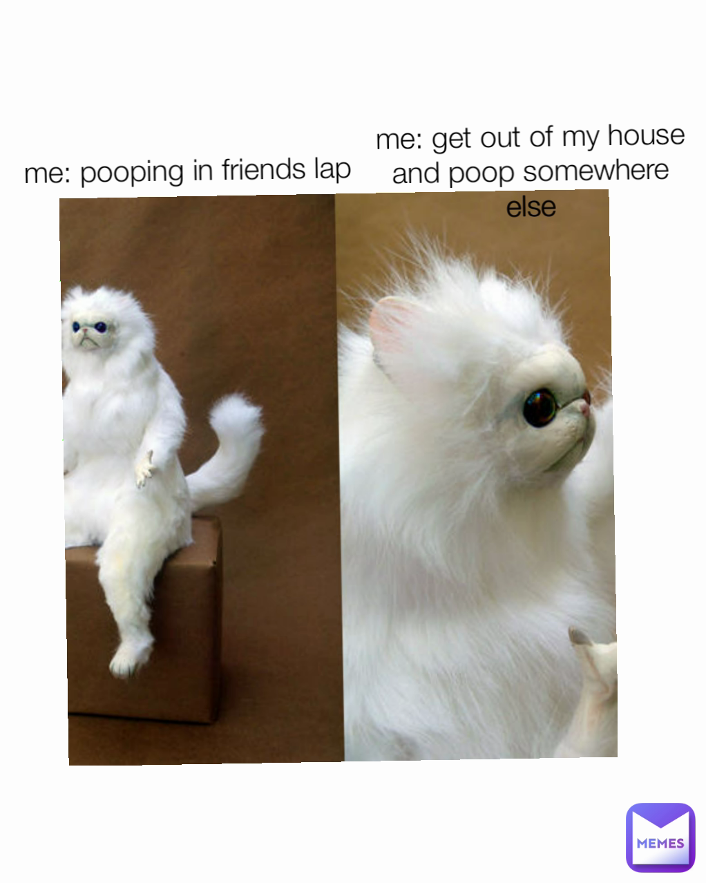 me: pooping in friends lap me: get out of my house and poop somewhere else