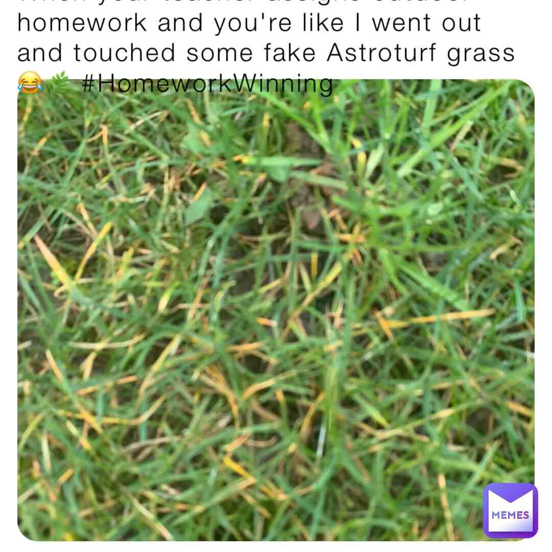 Ez homework be like #homework