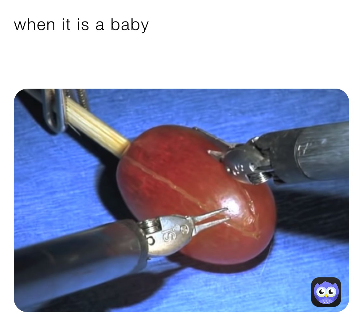 Meme by gracianoi_09