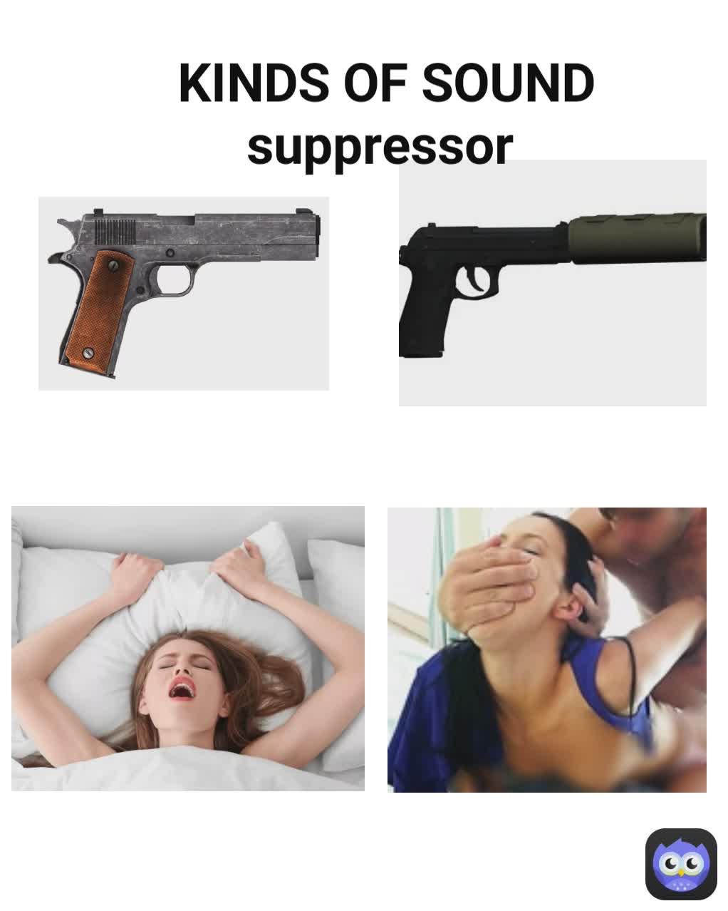 KINDS OF SOUND suppressor rex44 Memes
