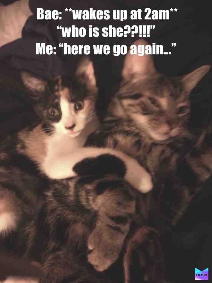 When she has a dream of you and another woman.. lol #meme #bae #relationships #dreamcheater #whatsheupto #herewegoagain #females #men #nightmares #issues #cats #funny #2amthoughts #whoisshe #lol #sleeplessnights #memeoftheday #catchyourself #stayloyal #becalm #itsjustadream #orisit #whoisshe #manproblems #girlissues
