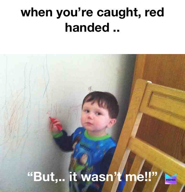 Even when you catch them in the act,. They still plead innocent!! 😂 #memes #funny #ididntdoit #caught #redhanded #memeday #memetime #getmethatmeme #evidence #guity #stoplying