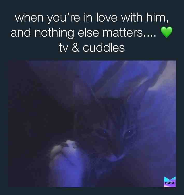 #memelove #inlove #relationships #cuddles #tvandsnuggles #truelove #comfort #cats #kitten #cleo&mordecai #petswhocuddle #petlove