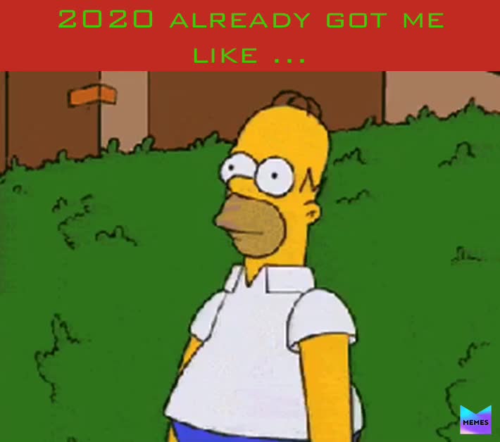 2020 got me like ,. Keep me away from people  #noteveryoneisnice #animallover #benice..   #2020  #januaryproblems  #whtsnextFebruary  #holidaydebt  #hibernation  #homersimpson #meme #imout  #2020letsgo #movebitchgetouttheway#relevant#coronavirus