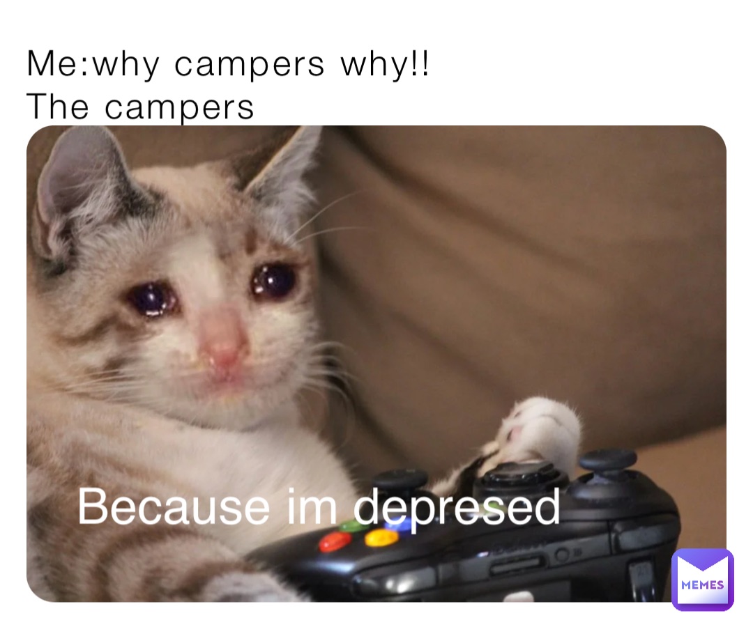 Me:why campers why!!
The campers Because im depresed