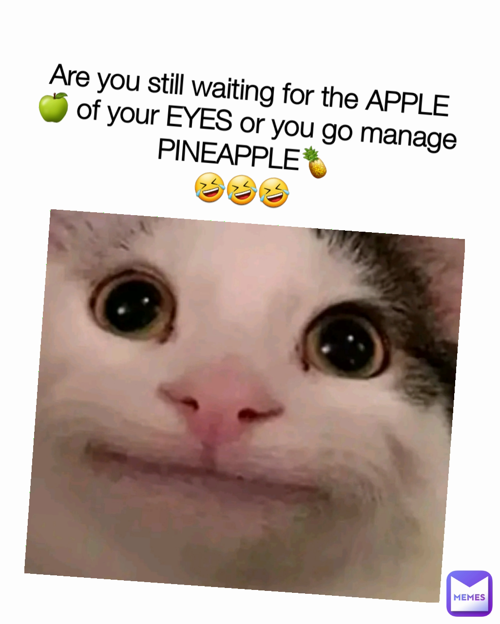Are you still waiting for the APPLE🍏 of your EYES or you go manage PINEAPPLE🍍
🤣🤣🤣