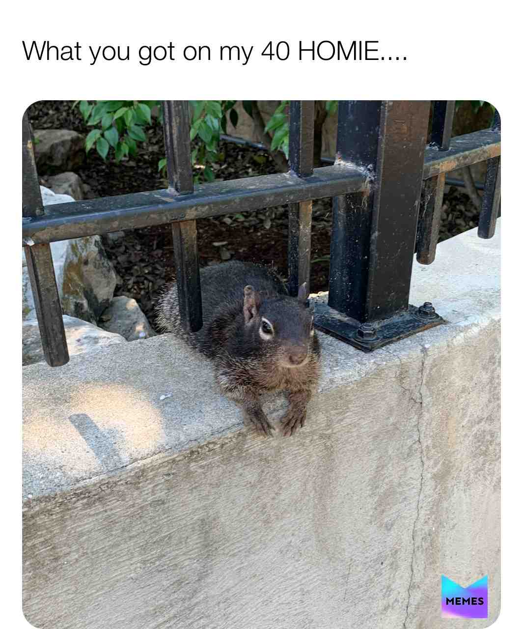 \ud83d\ude02\ud83d\ude02\ud83d\ude02
\u2022
\u2022
\u2022
\u2022
#memes #alcohol #funny