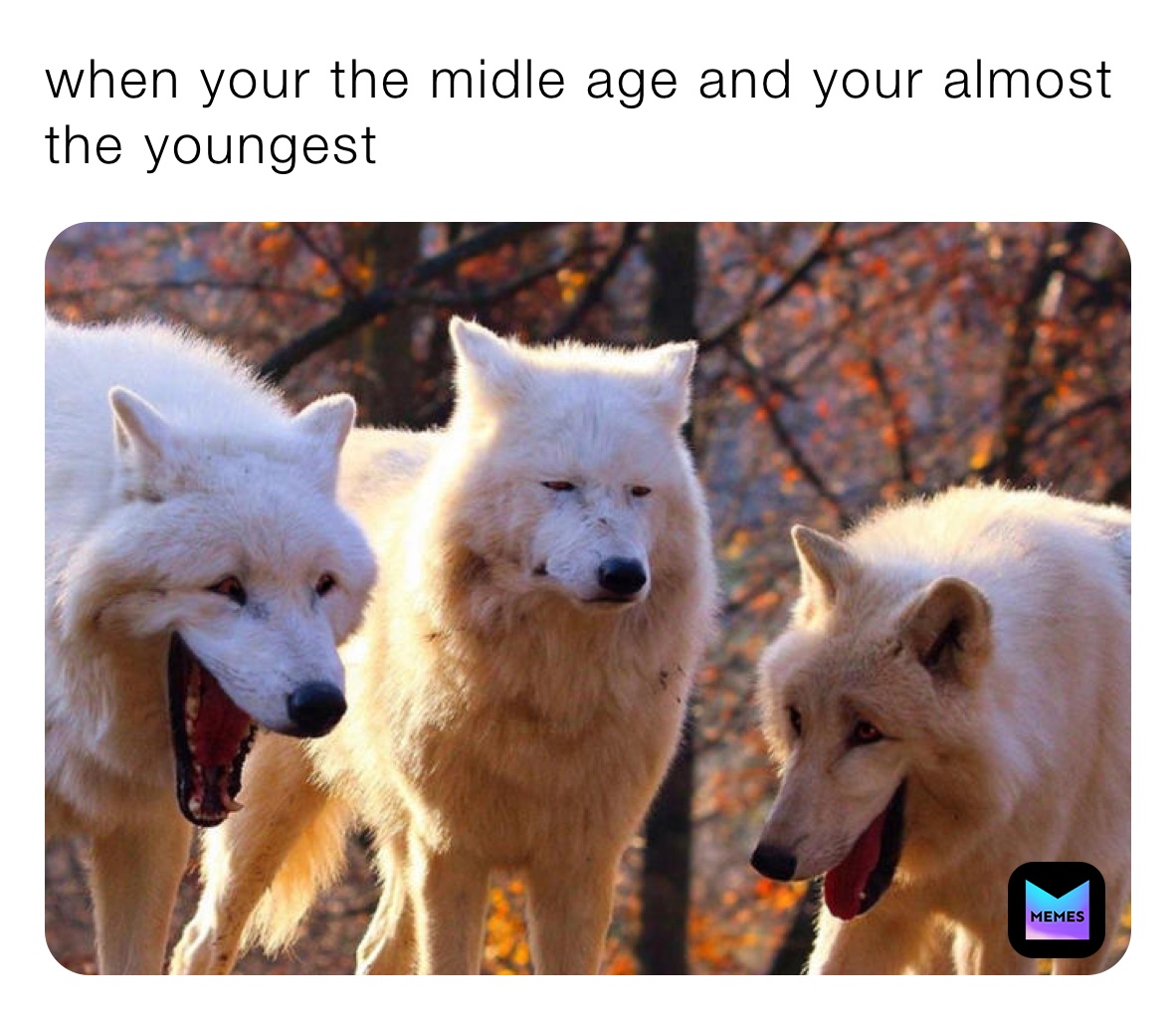 Meme by joosjiereeryeusb