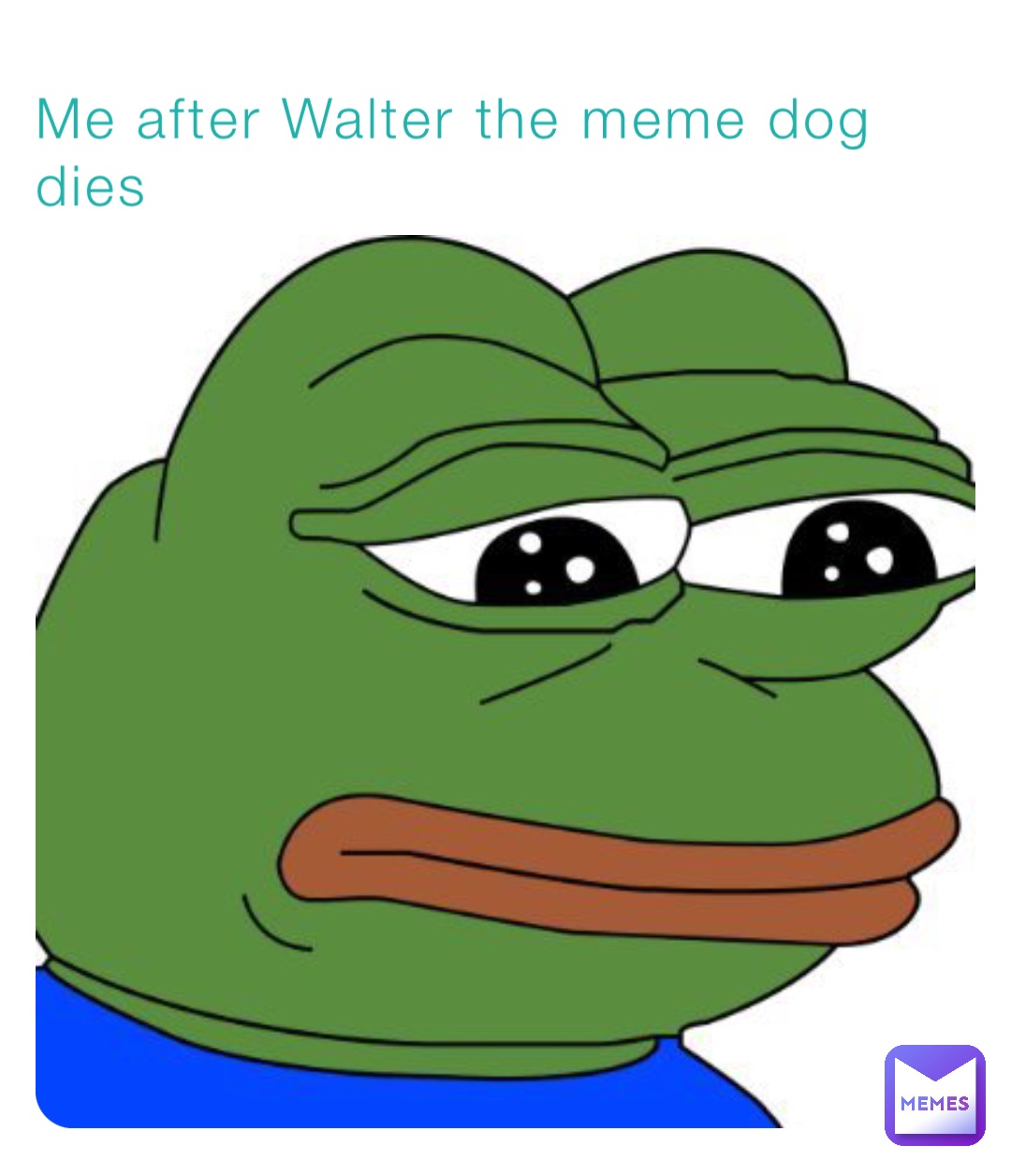 Me after Walter the meme dog dies