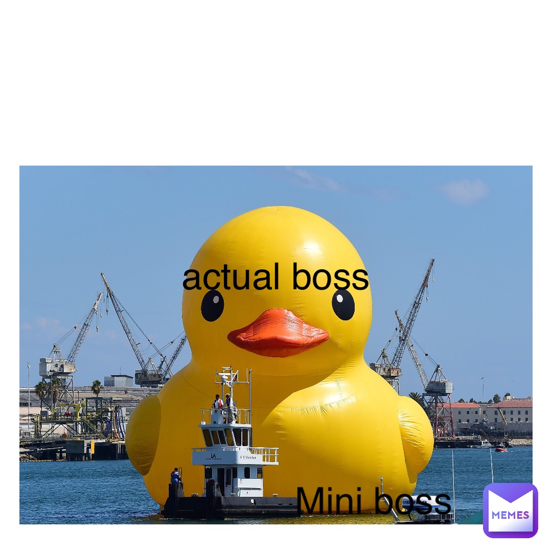 Text Here Mini boss actual boss