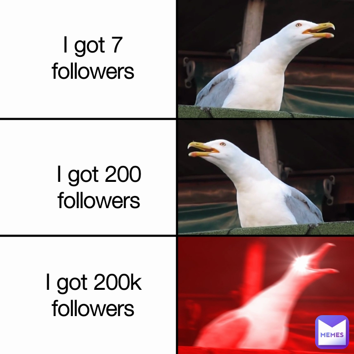 I got 200 followers I got 7 followers I got 200k followers
