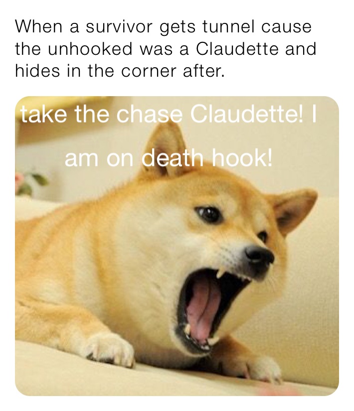 When a survivor gets tunnel cause the unhooked was a Claudette and hides in the corner after.