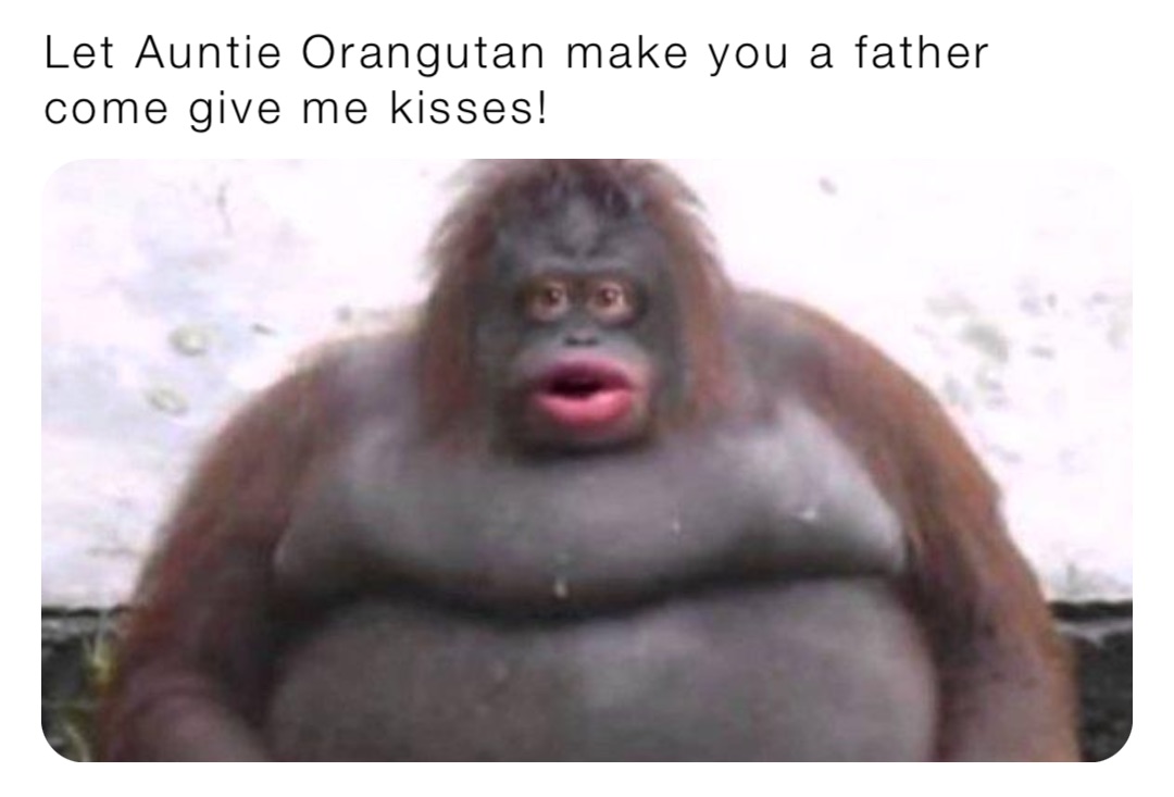 Let Auntie Orangutan make you a father come give me kisses!