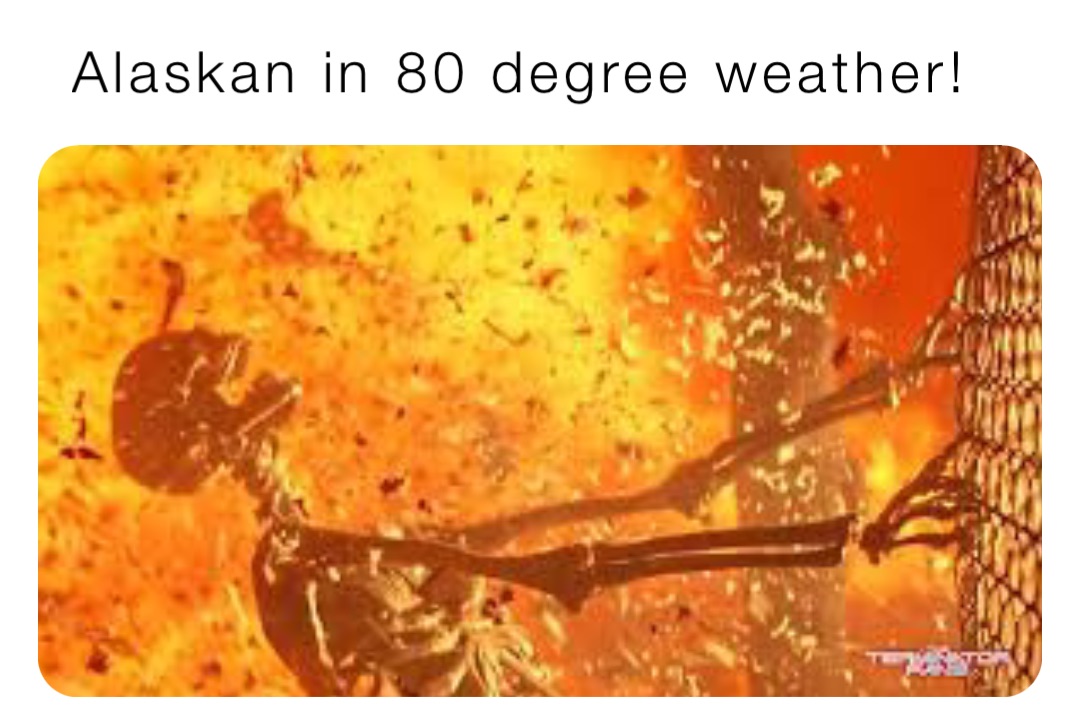 Alaskan in 80 degree weather!