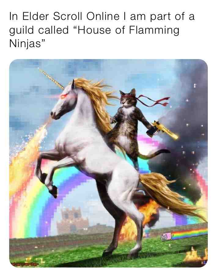 Meme shared by @Kaanbux