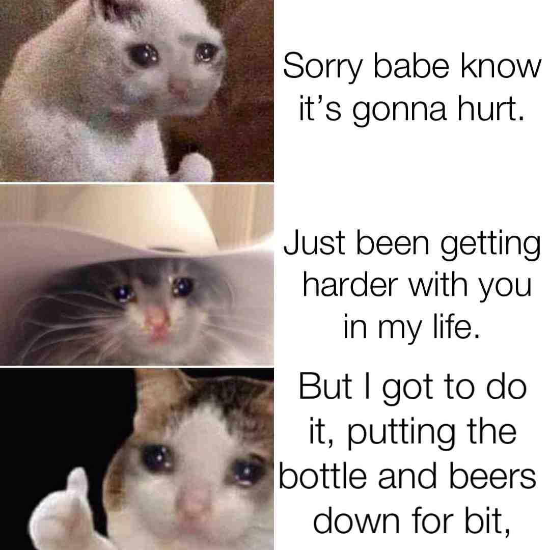 #meme #Sadcat