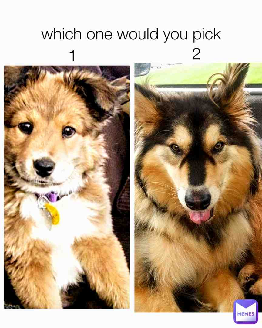 1or2 write your answers in the comments below