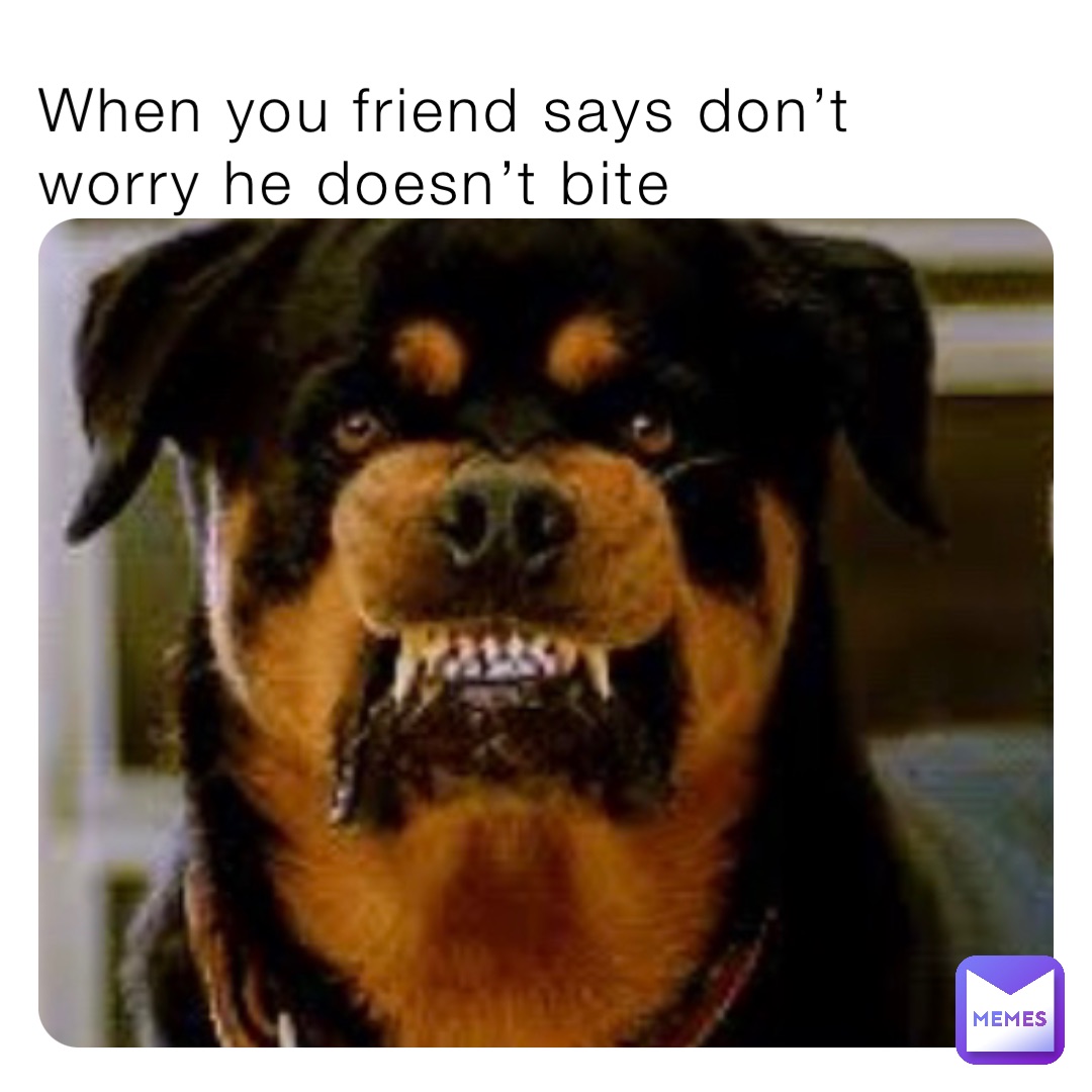 When you friend says don’t worry he doesn’t bite