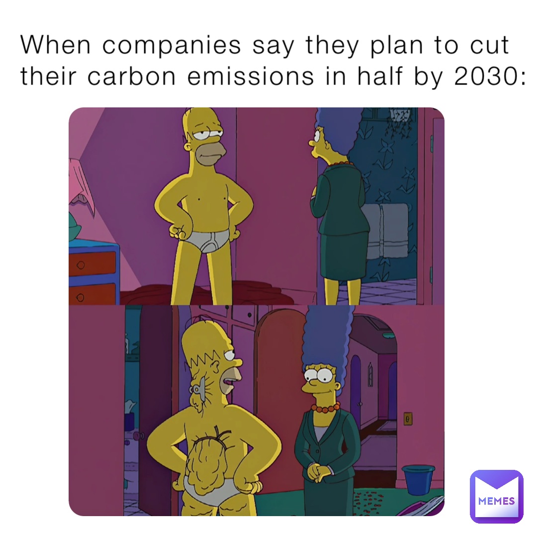 When companies say they plan to cut their carbon emissions in half by 2030: