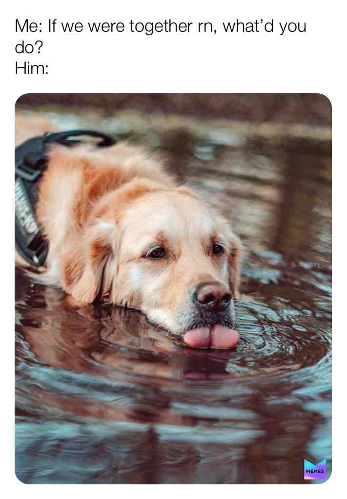  #memes #dankmemes #nasty