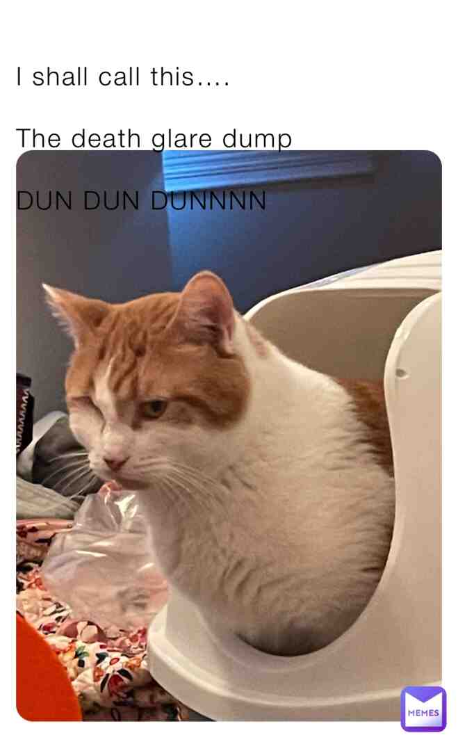 #catmemes #memesapp #memes #memesdaily