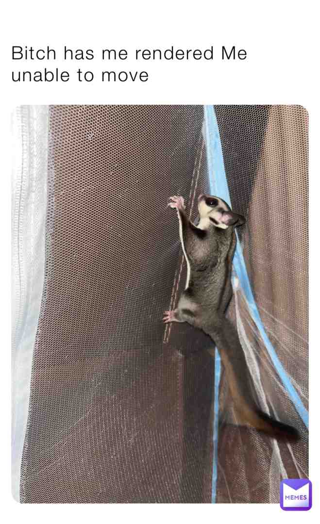 Met my son  and he is actually my pet