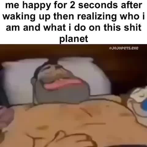 Meme shared by @alexidk