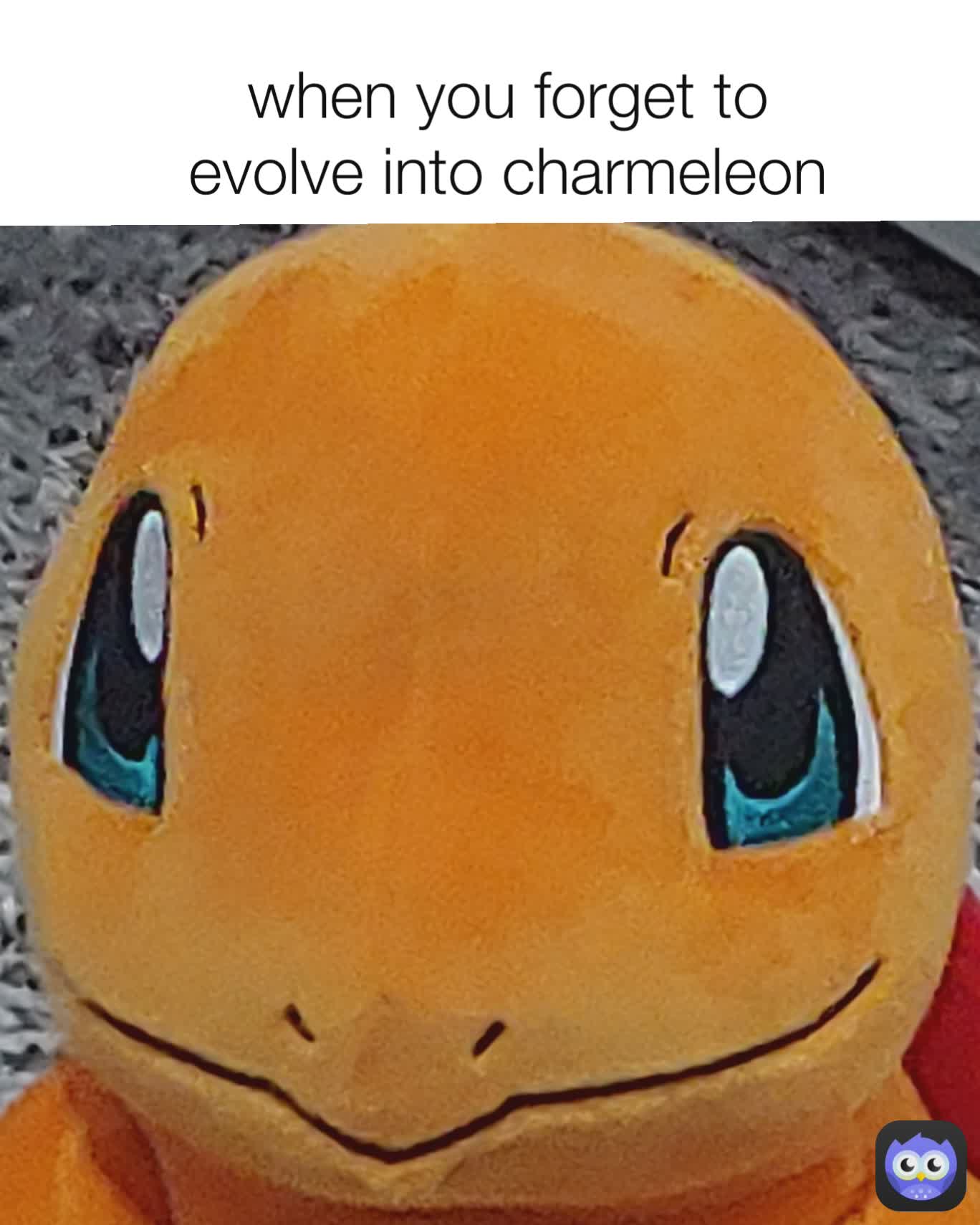 when you forget to evolve into charmeleon