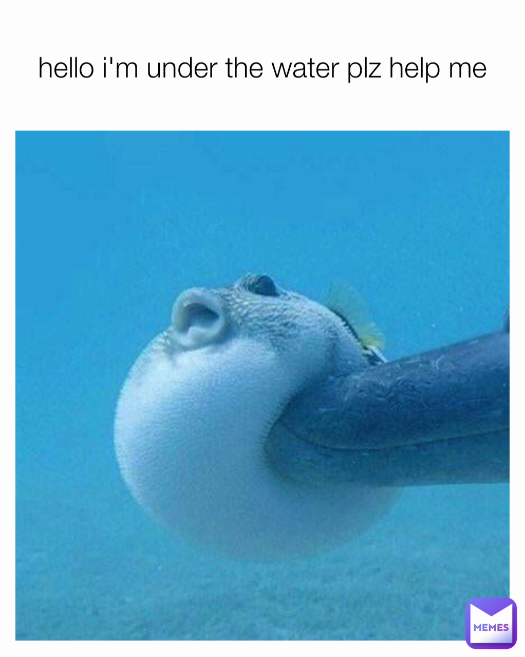 hello i'm under the water plz help me