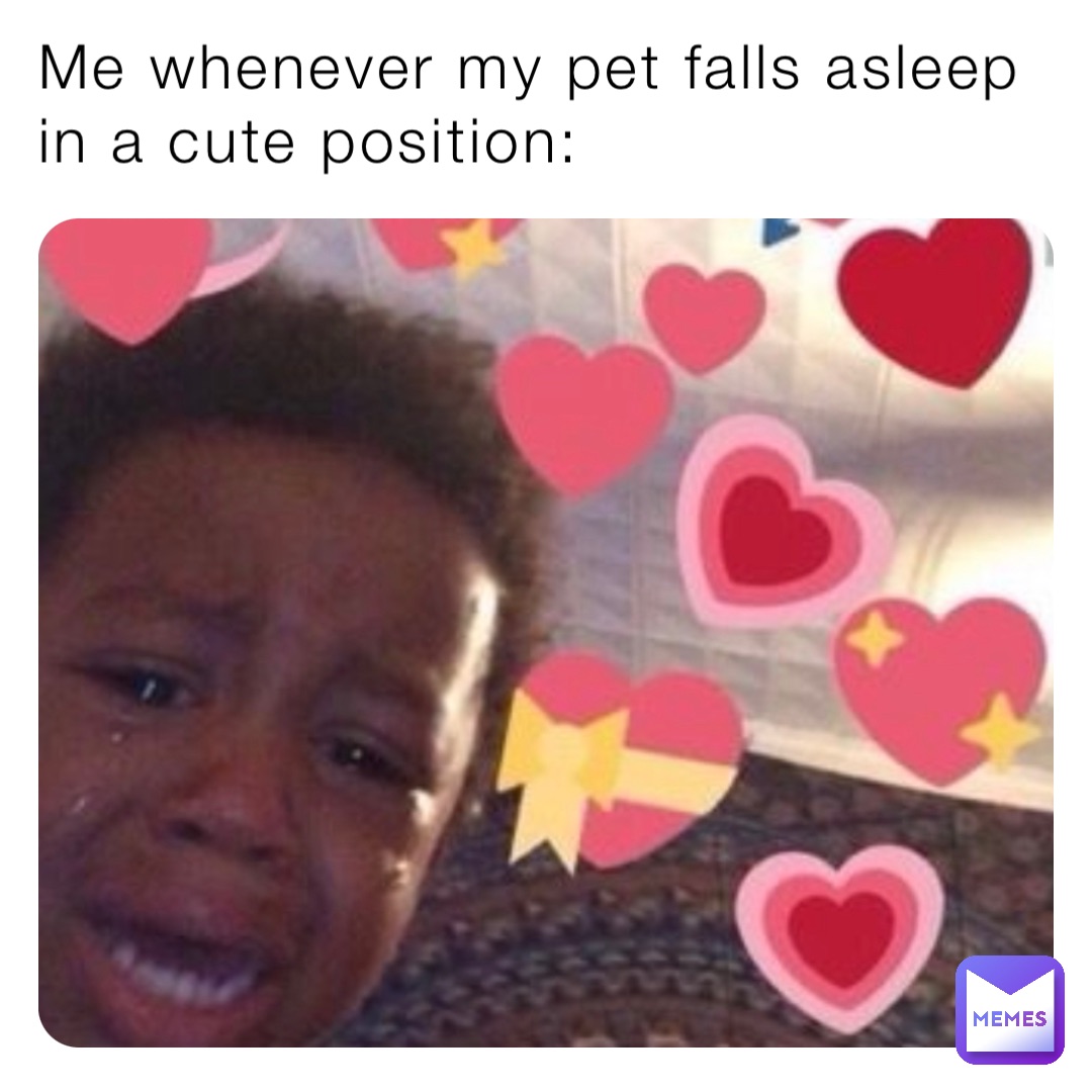 Me whenever my pet falls asleep in a cute position: