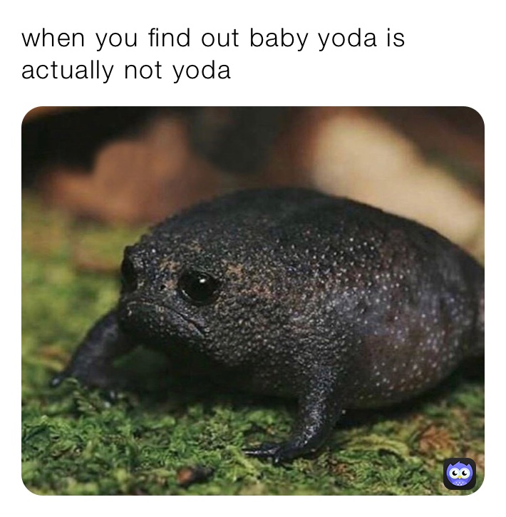 when you find out baby yoda is actually not yoda