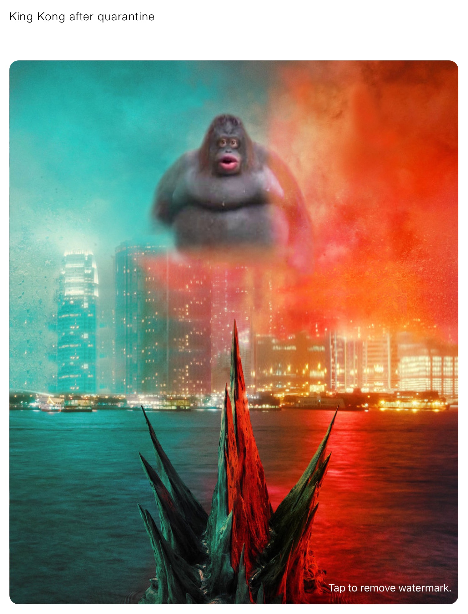 King Kong after quarantine 

