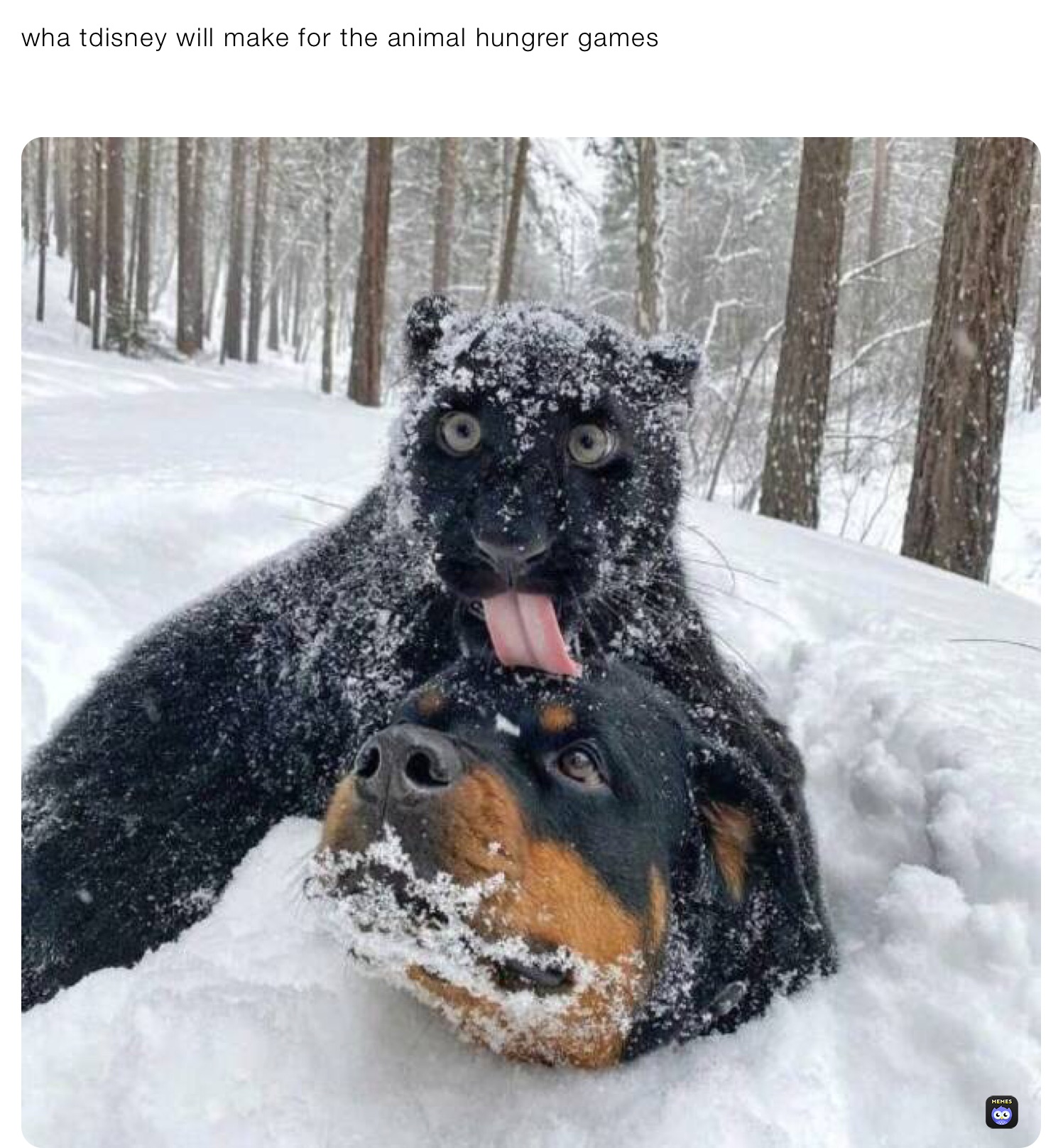 Meme by oopsie_doopsie_poopsie