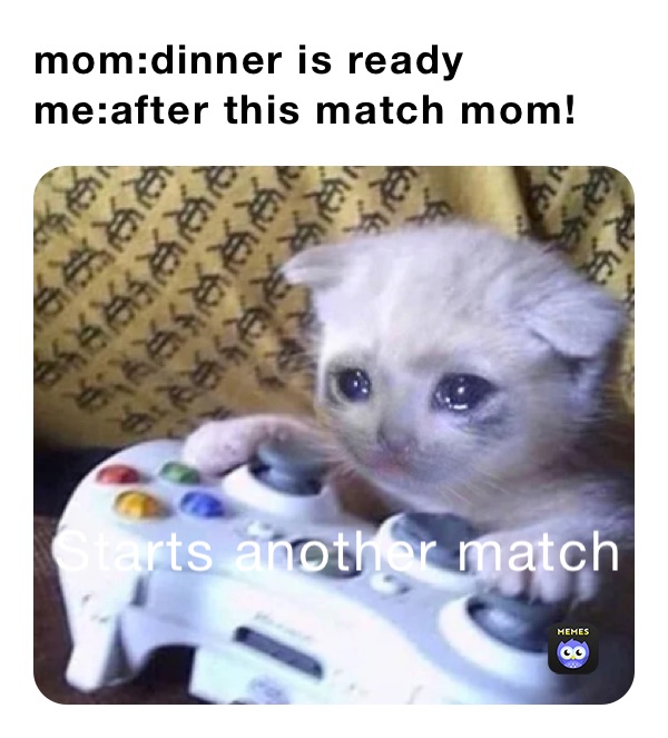 Meme by Ice_creamforlife1