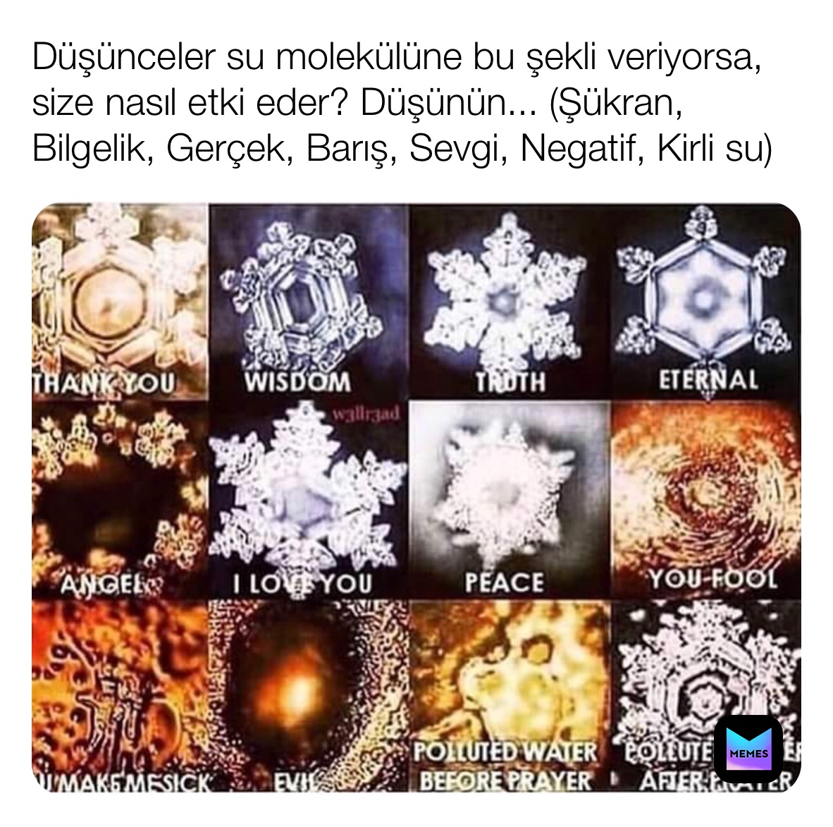 Meme by starseed_111