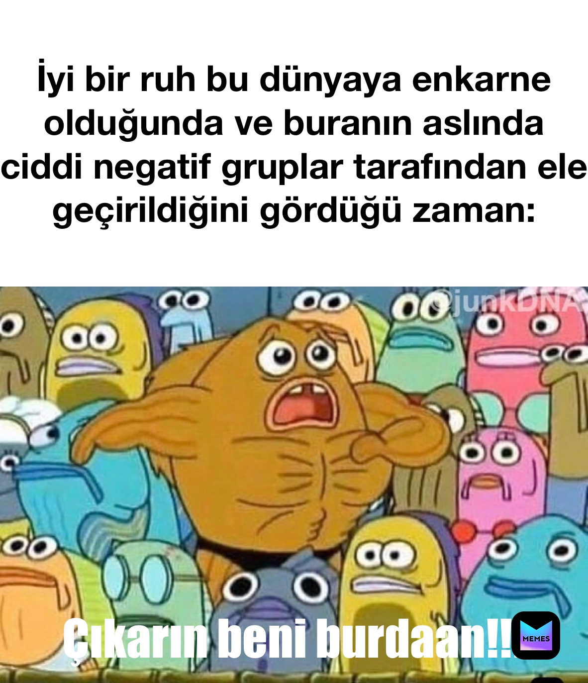 Meme by starseed_111