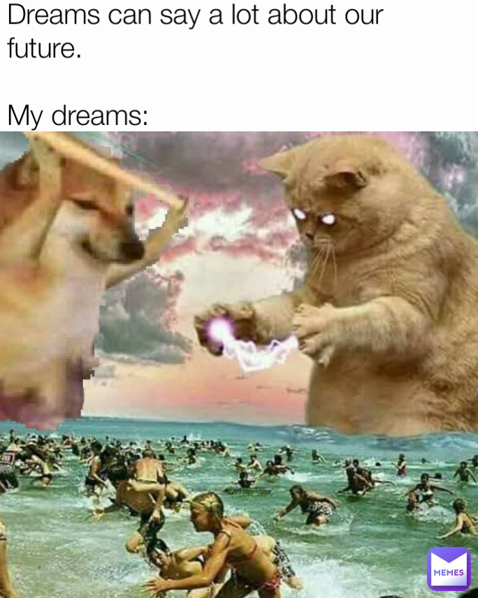 Dreams can say a lot about our future.

My dreams: