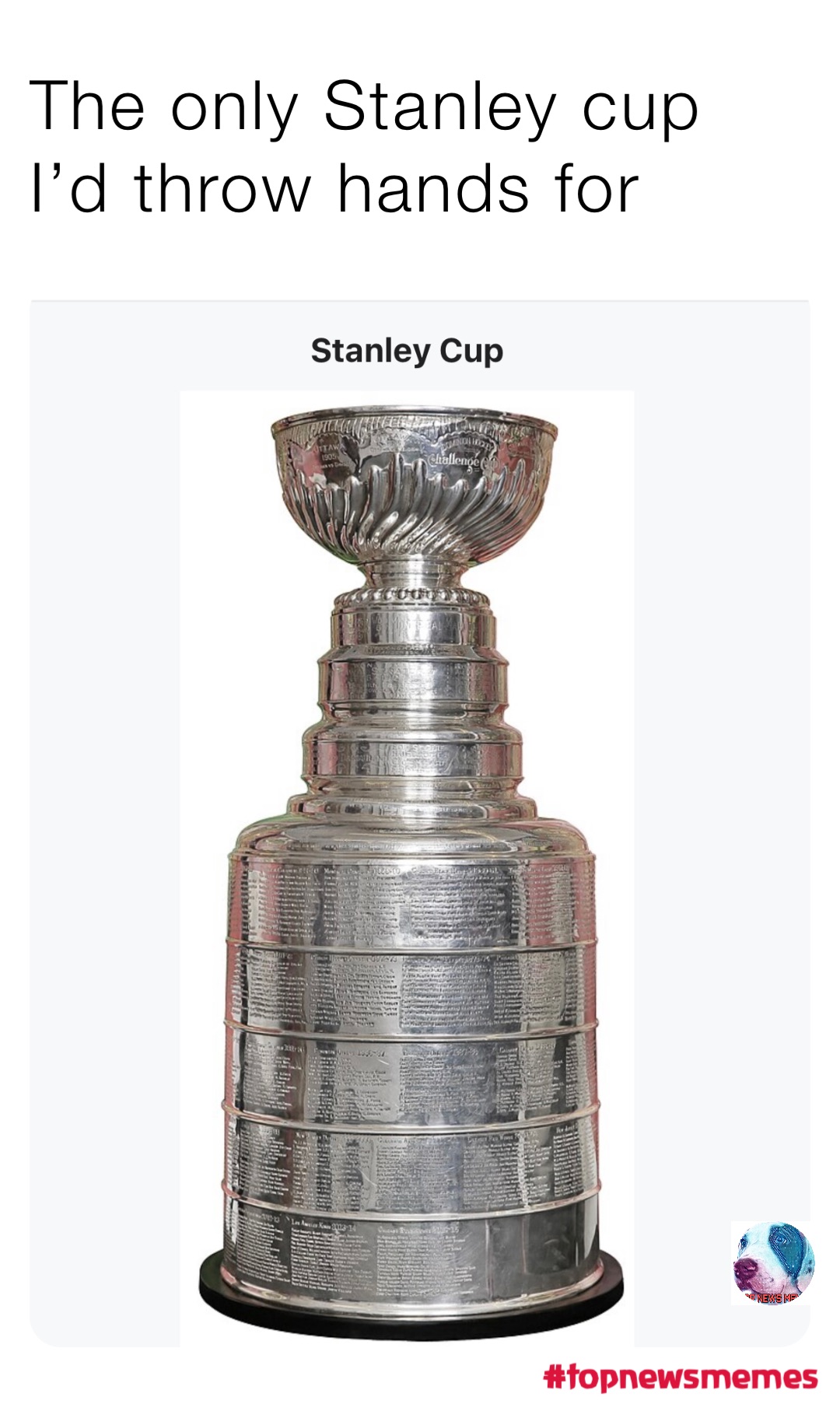 The only Stanley cup I’d throw hands for