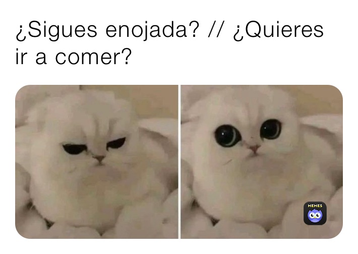 ¿Sigues enojada? // ¿Quieres ir a comer?