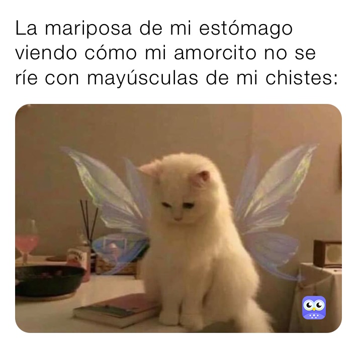 La mariposa de mi estómago viendo cómo mi amorcito no se ríe con mayúsculas de mi chistes: