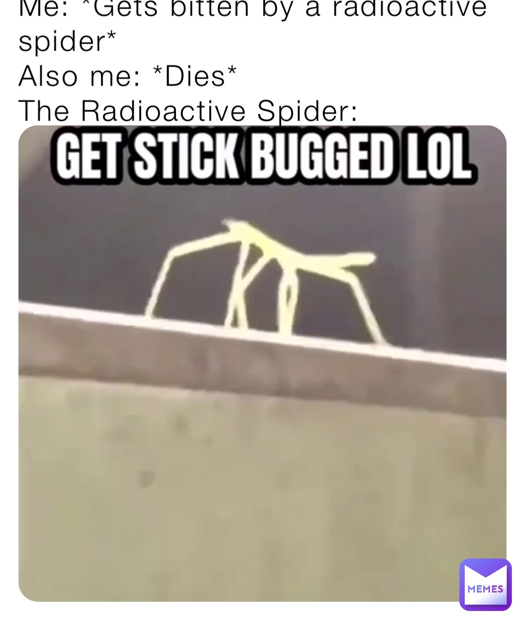 Me: *Gets bitten by a radioactive spider*
Also me: *Dies*
The Radioactive Spider: