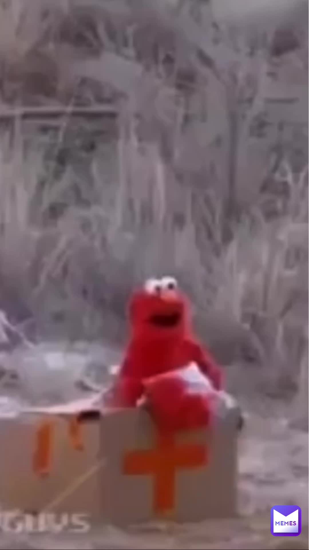 Meme shared by @kermit_e_frog
