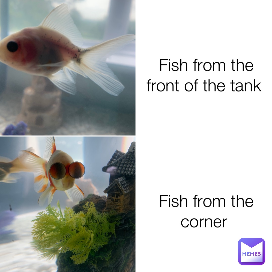 Meme by Caycayfamily