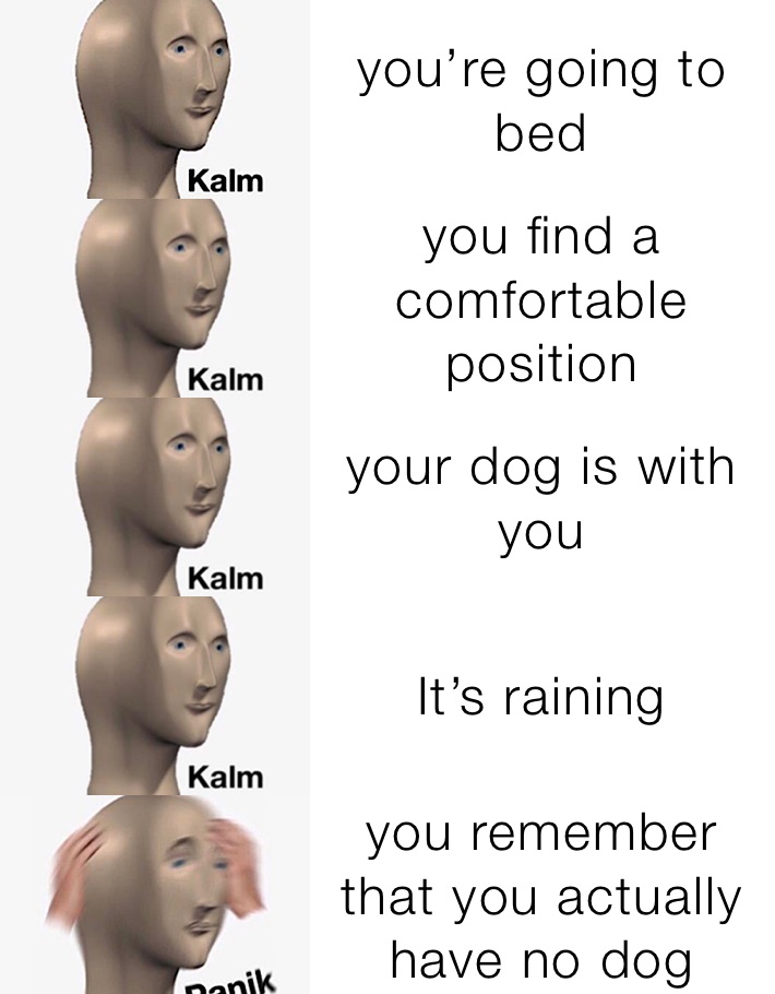 you’re going to bed you find a comfortable position  your dog is with you It’s raining  you remember that you actually have no dog