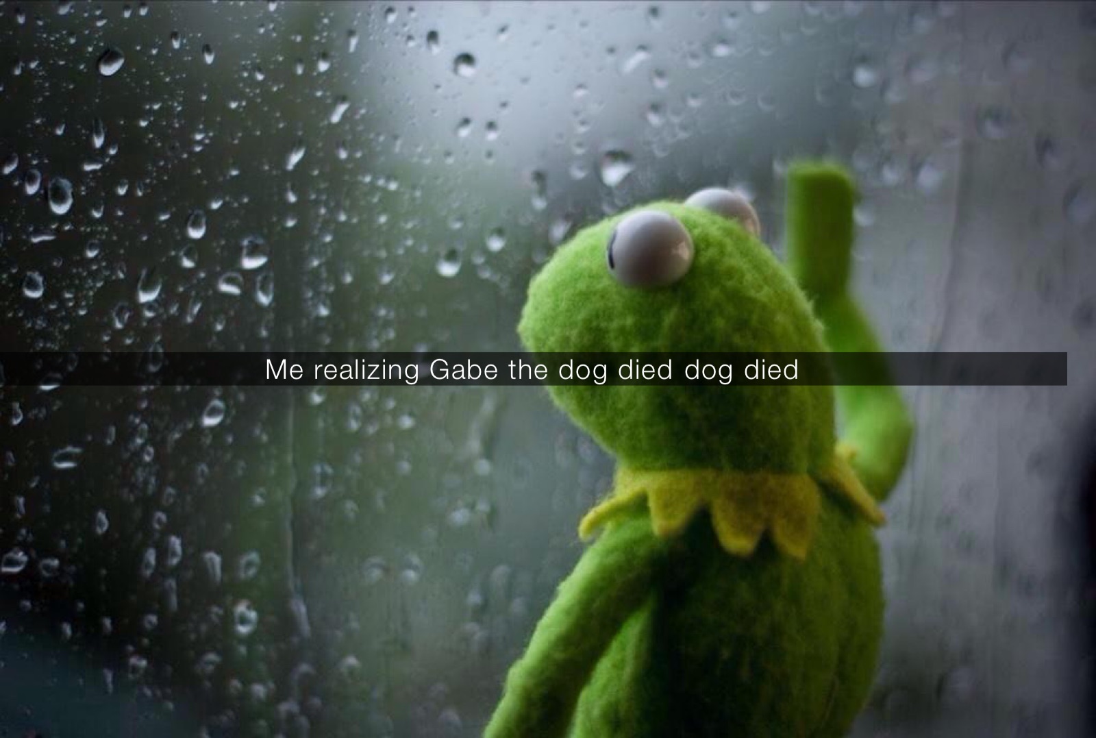 Me realizing gabe the dog died￼ dog died￼