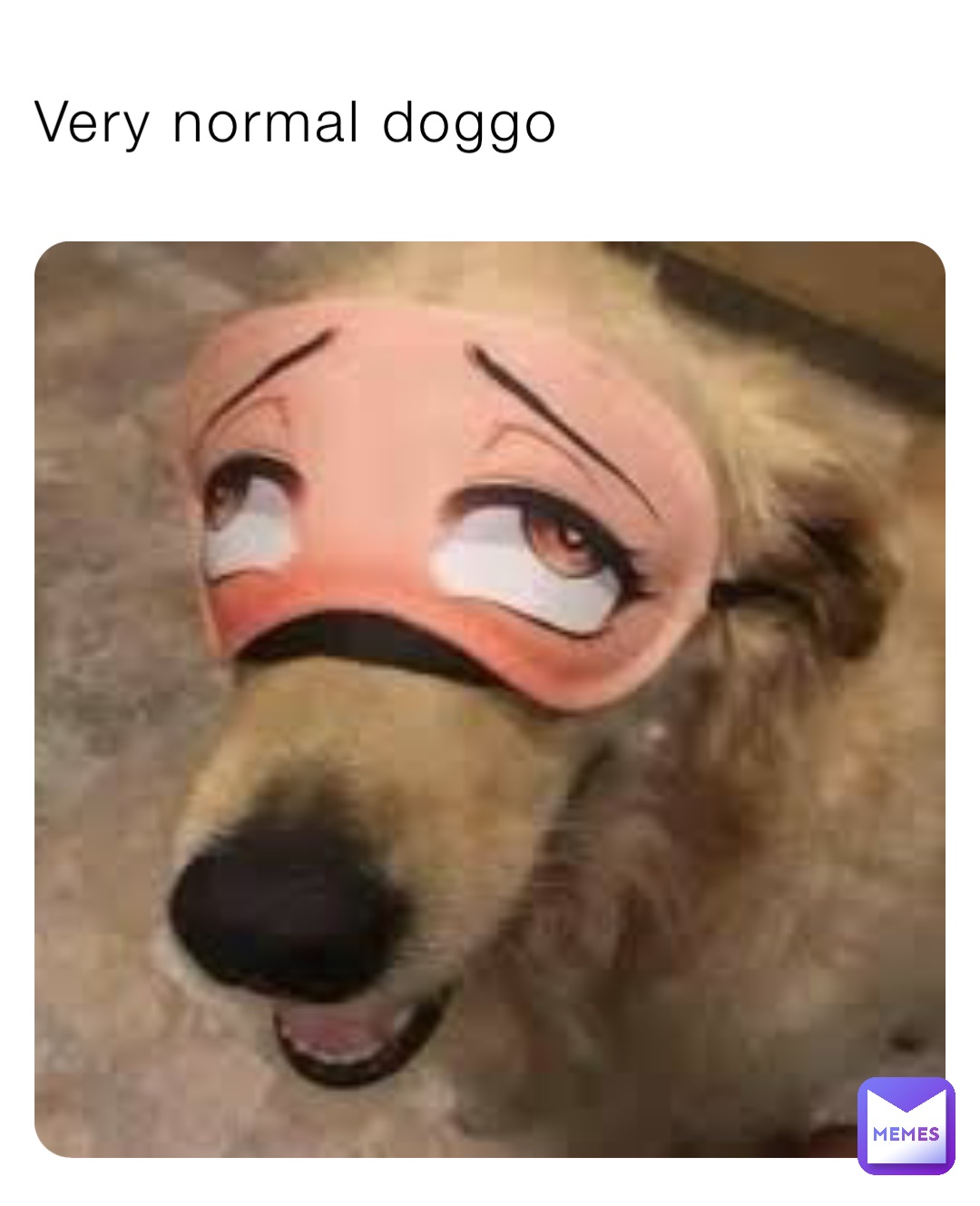 Very normal doggo