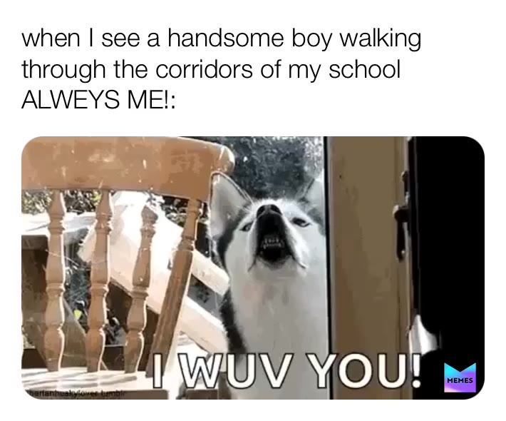 #laugh  #funnymemes  #satisfying  #funny  #enjoyable  #whenyourmemes  #like  #smile  #like4like  #smiles  #funny  #funnymemes  #laugh  #enjoyable  #whenyourmemes  #enjoyable  #whenyourmemes