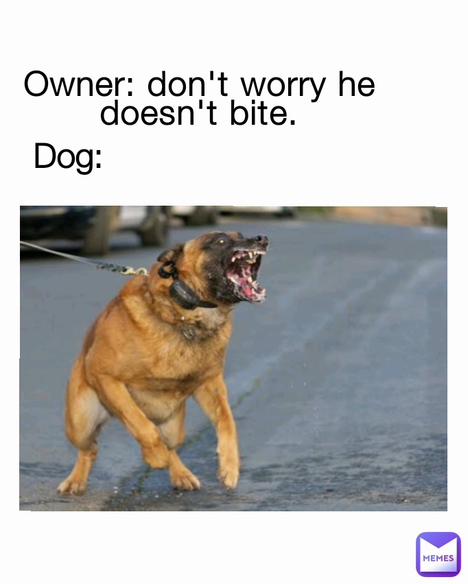 Owner: don't worry he doesn't bite. Dog: